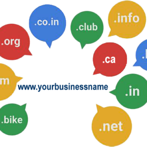Domain name registration