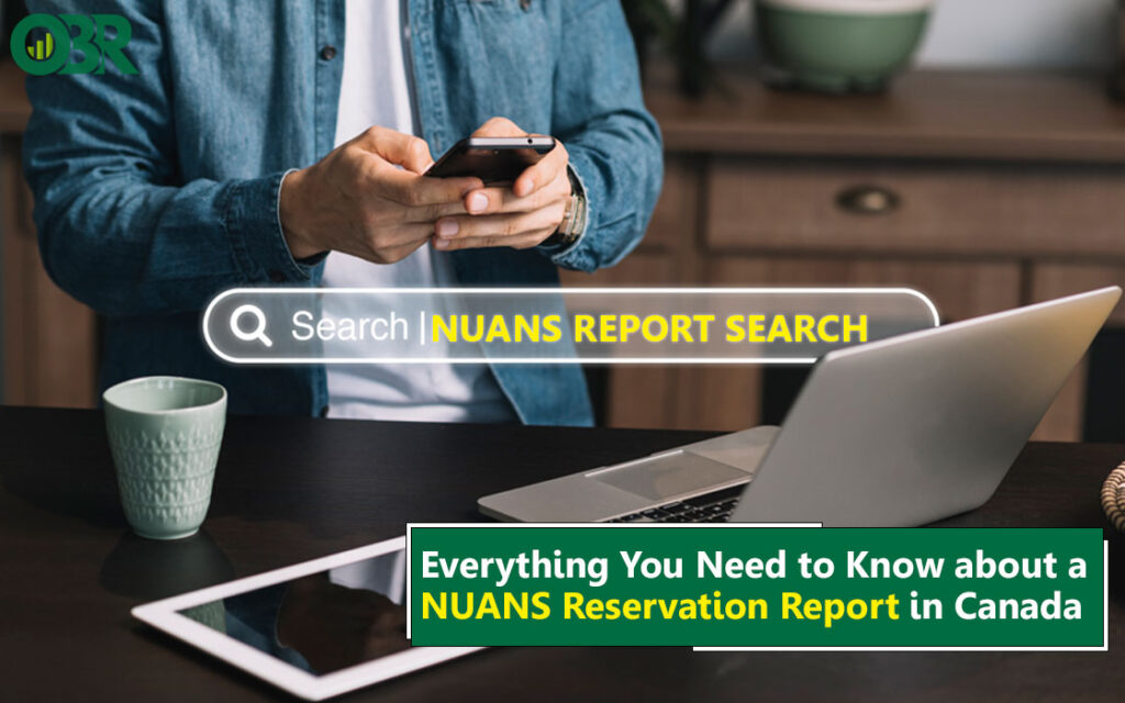 nuans business name search